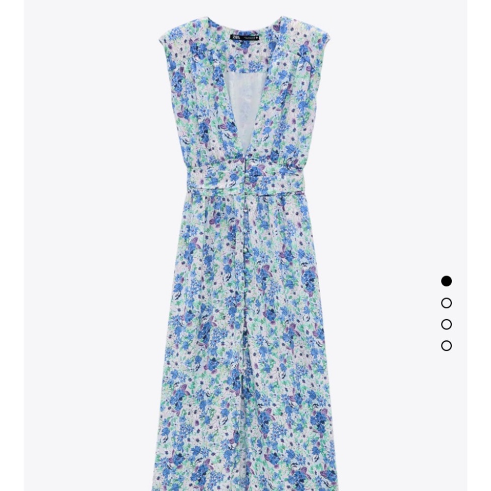 Zara Printed Midi Dress